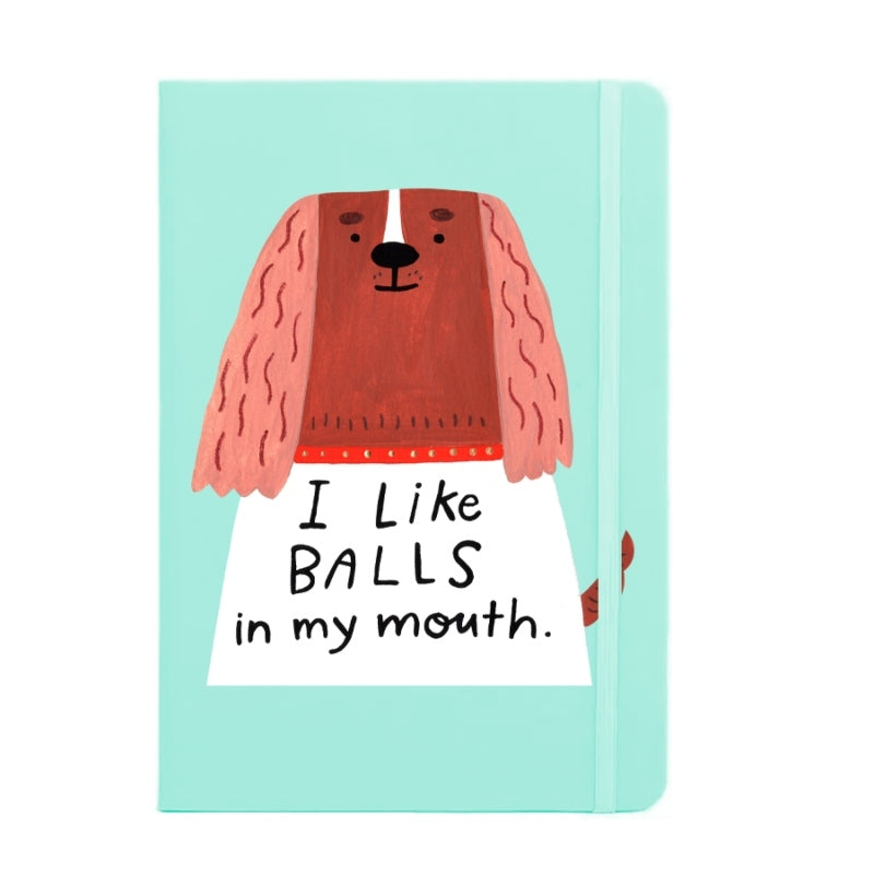 I Like Balls in My Mouth Notebook