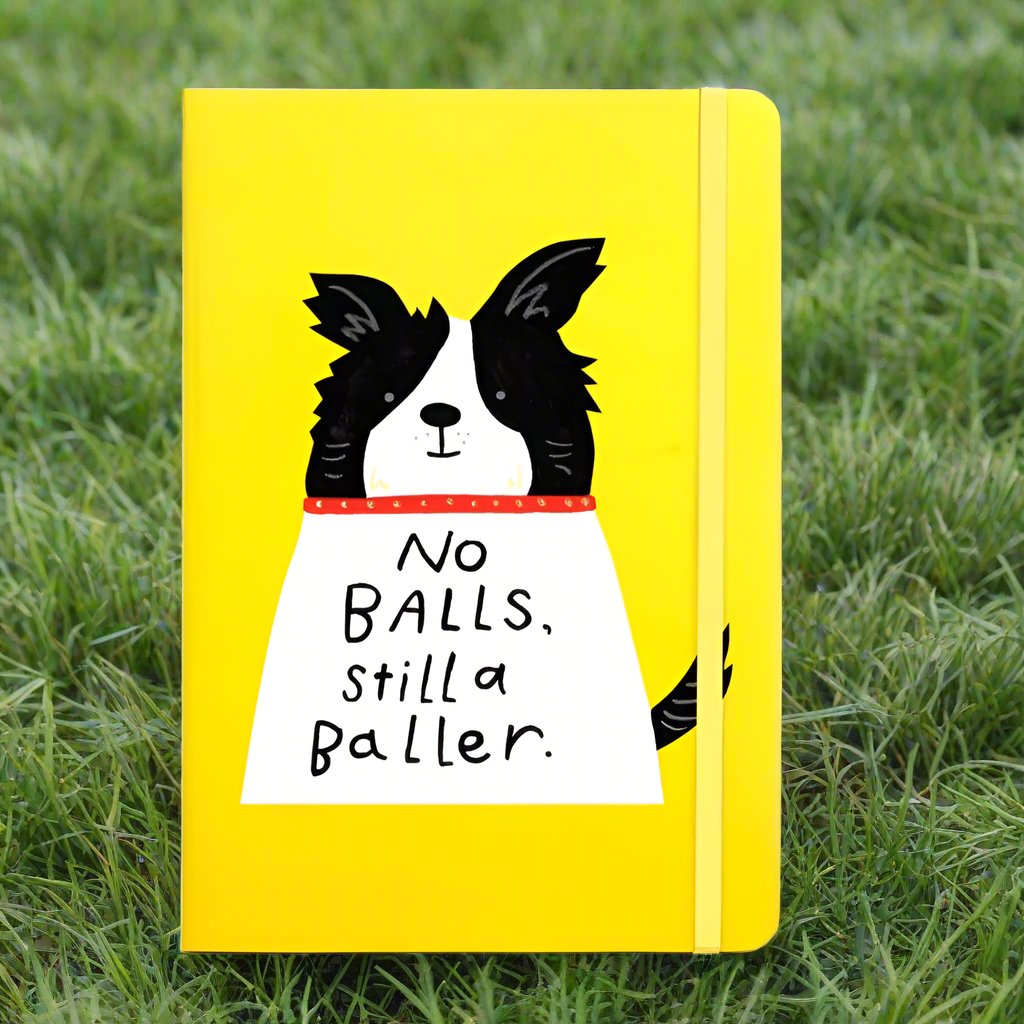 No Balls, Still a Baller Notebook