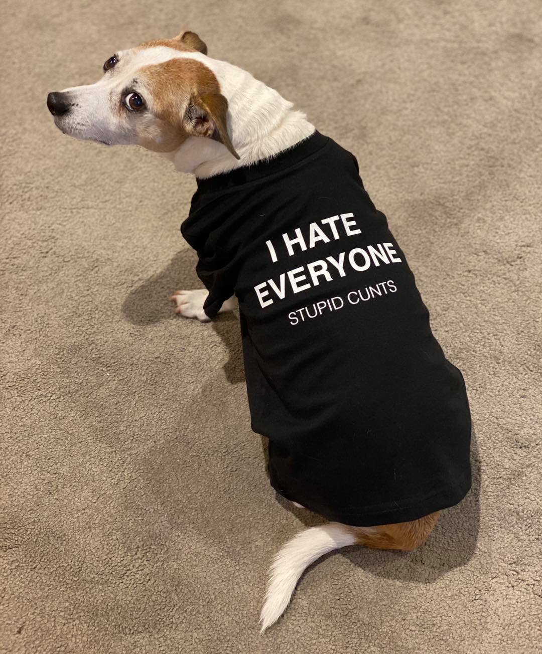 I Hate Everyone Dog Shirt (Printed on a Youth T-shirt)