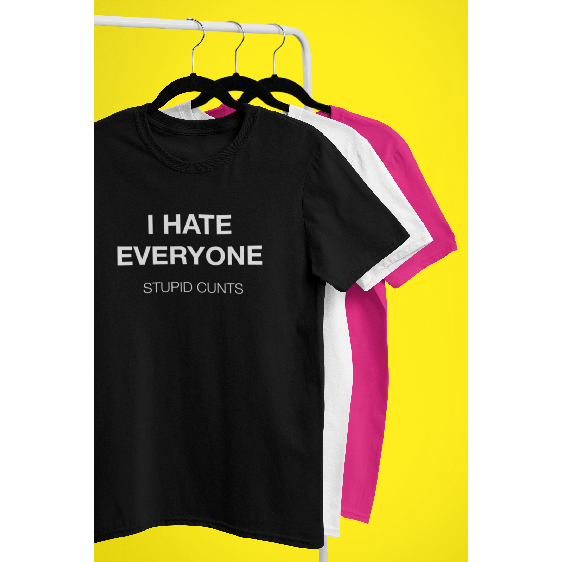 Womens I Hate Everyone Stupid Cunts V-Neck T-Shirt